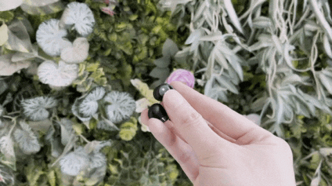 08.gif